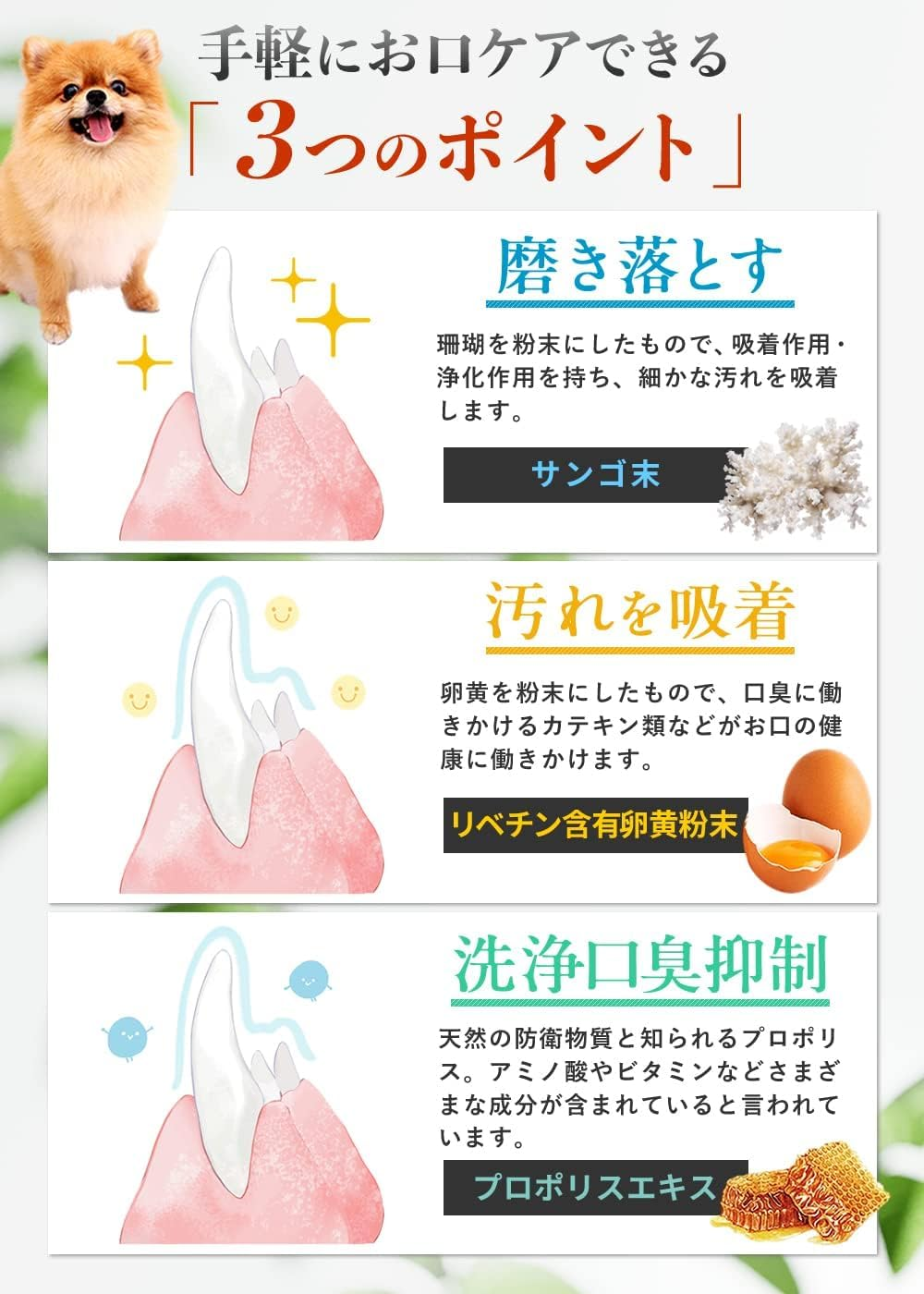 Dr.Wantect 使用シーン